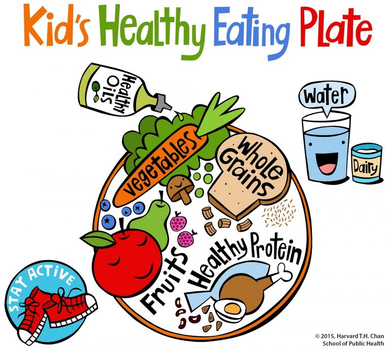 cartoon illustration showing a healthy eating plate
