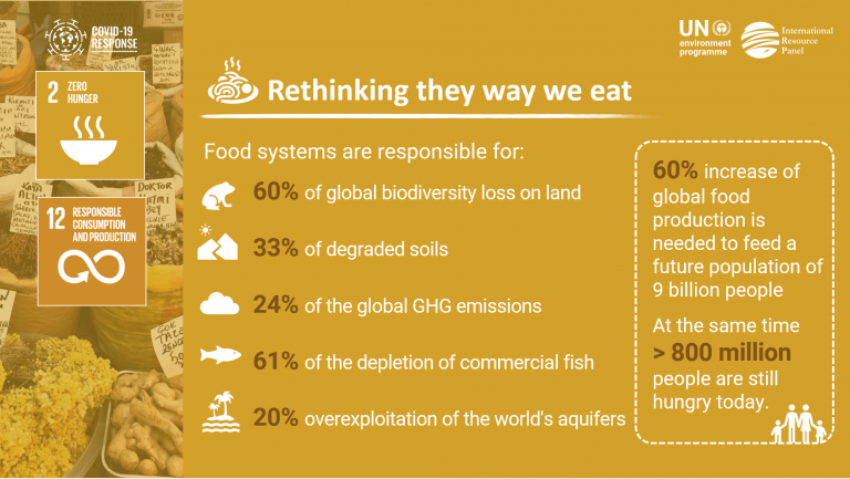 Graphic showing data on the impact of food systems on climate