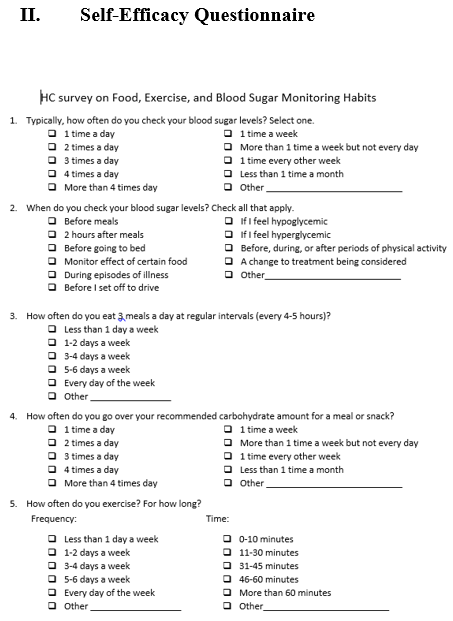 Figure 1: Self Efficacy Questionnaire