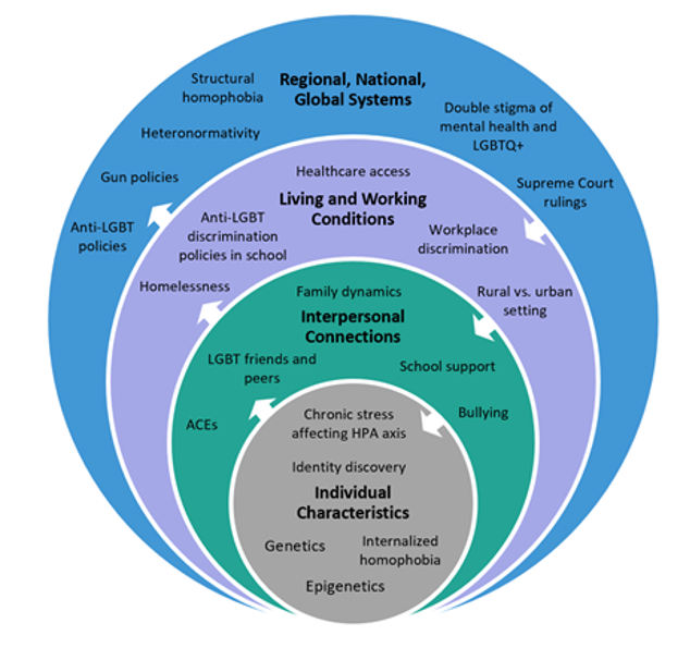 Figure 1: Socioecological Framework for LGBTQ+ Youth Suicidality
