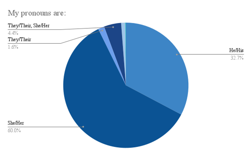 Figure 13: Data from 500 respondents located in the state of New York on their preferred pronouns.