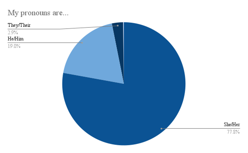 Figure 14: Data from 510 respondents located in the state of Massachusetts on their preferred pronouns.