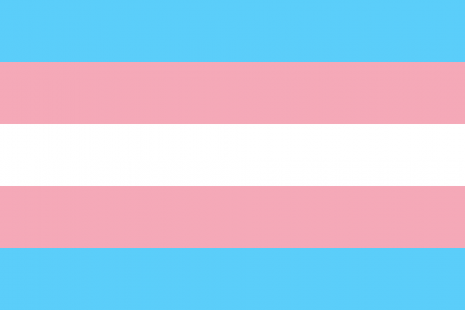 The vital role of Trans-led CBOs in public health research and efforts: an example from TransSOCIAL, Inc.