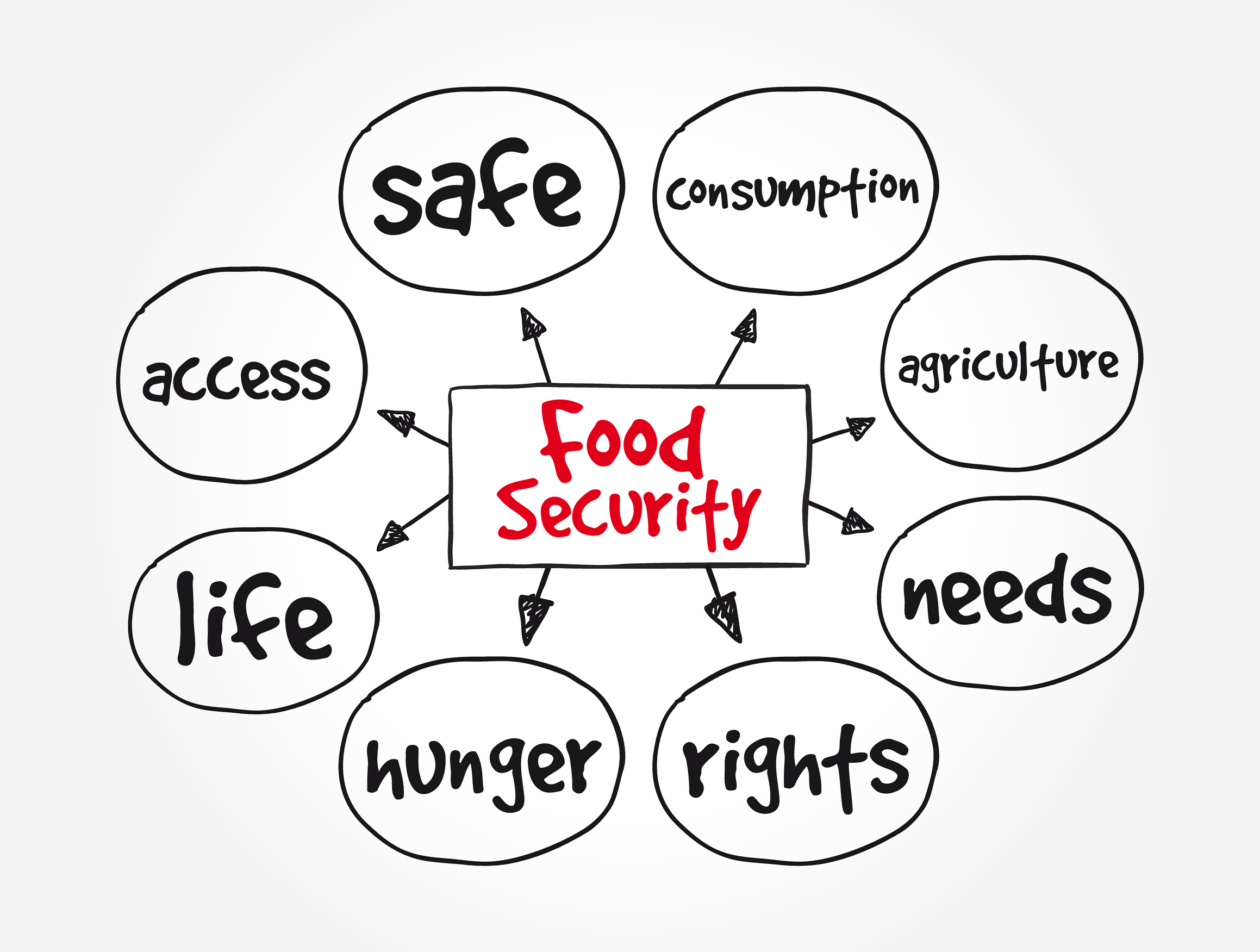 Food,Security,Mind,Map,,Concept,For,Presentations,And,Reports