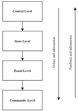Figure 2 Structure of the team