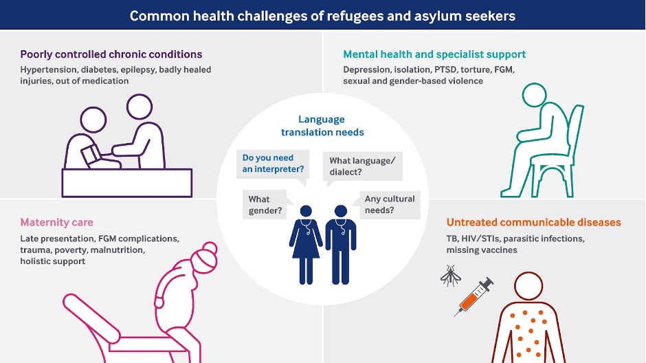 Figure 3. Common Health Challengees Of Reefugees And Asylum Seekerss